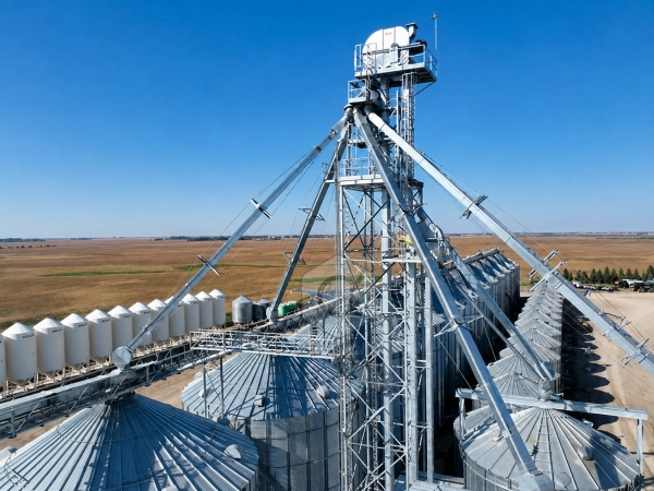 ¿Qué es un elevador de cangilones para granos y dónde se utiliza?