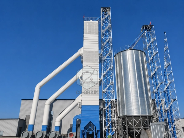 ¿Por qué necesita una planta de secado un silo pulmón de grano húmedo?
